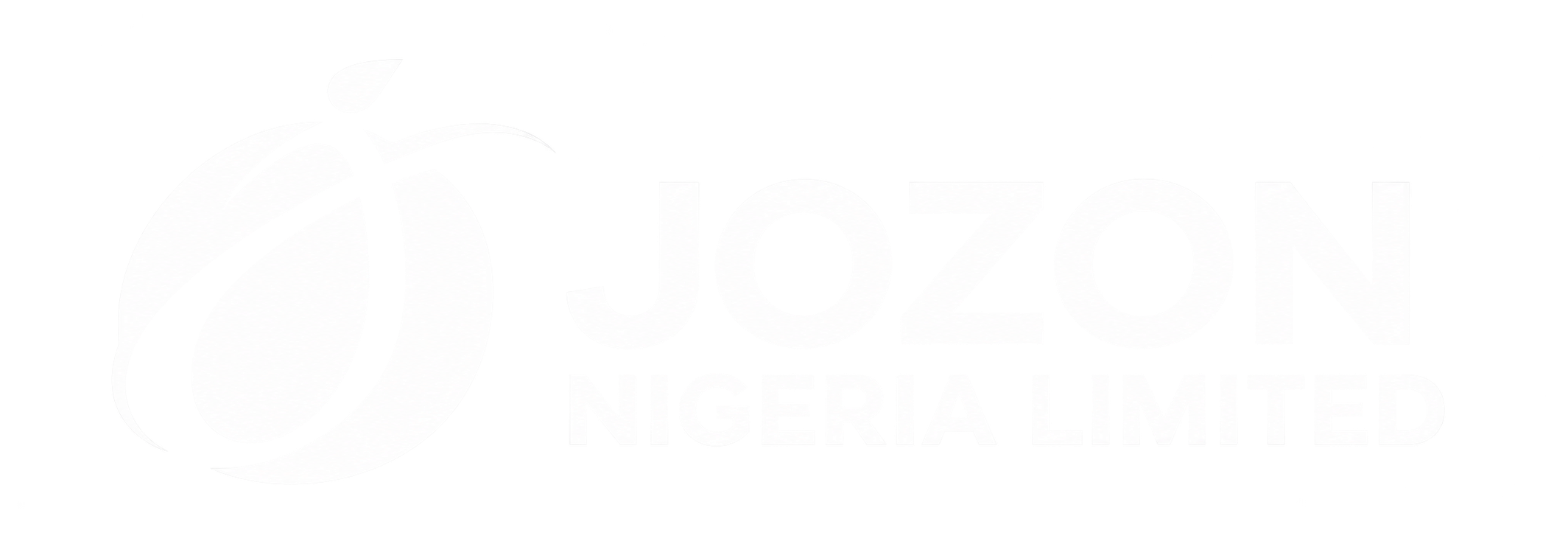 JOZON Nigeria Limited logo